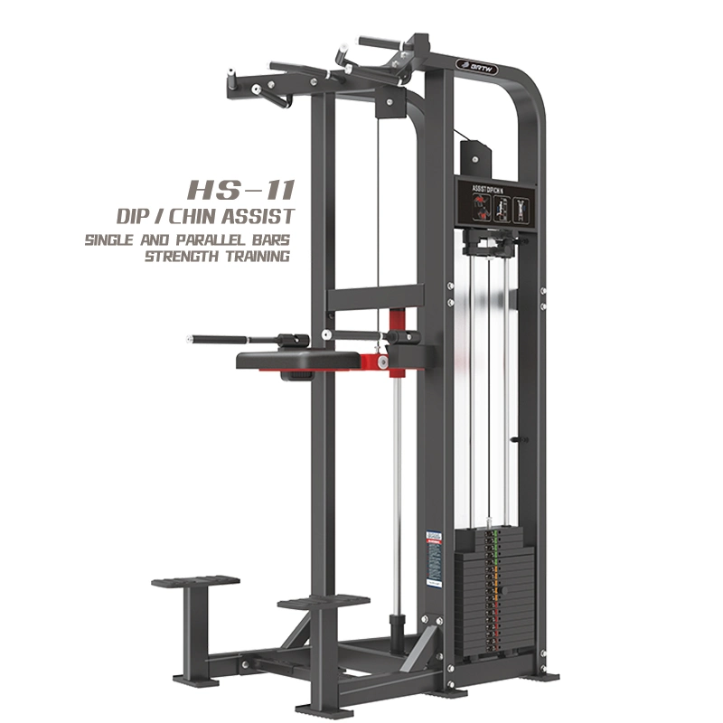 Fitness Equipment Strength Training Machine DIP/Chin Assist