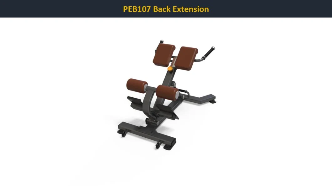 Free Weight Adjustable Back Extension Machine Strength Training
