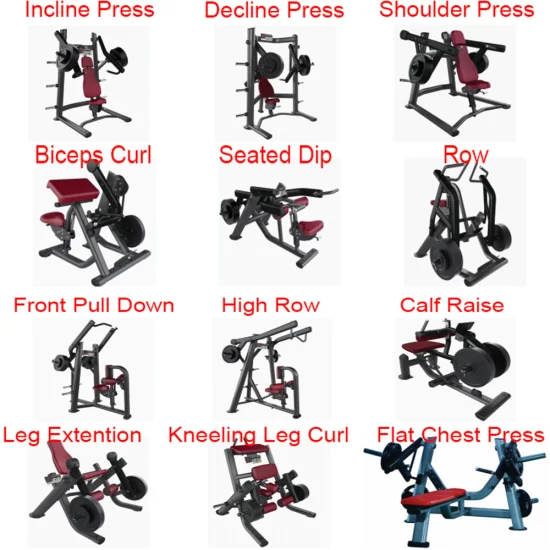 Equipo de gimnasio comercial Equipo de entrenamiento Artículos deportivos Máquina de remo sentado para ejercicio físico Mejorar la fuerza muscular del grupo de espalda